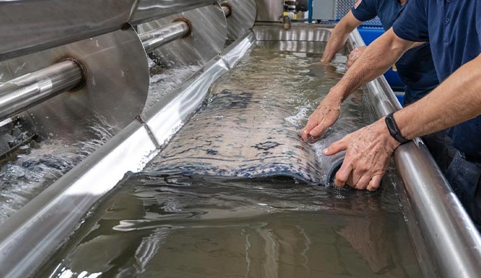 A professional team cleaning area rug