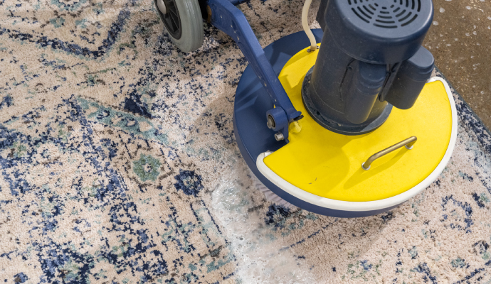 Area rug deep cleaning service