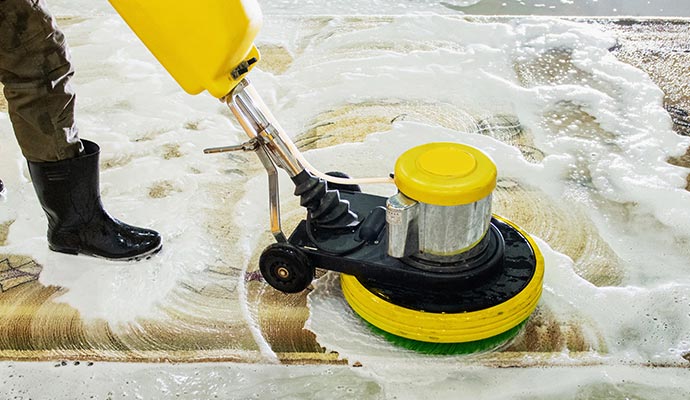 Vacuuming vs. Professional Rug Cleaning