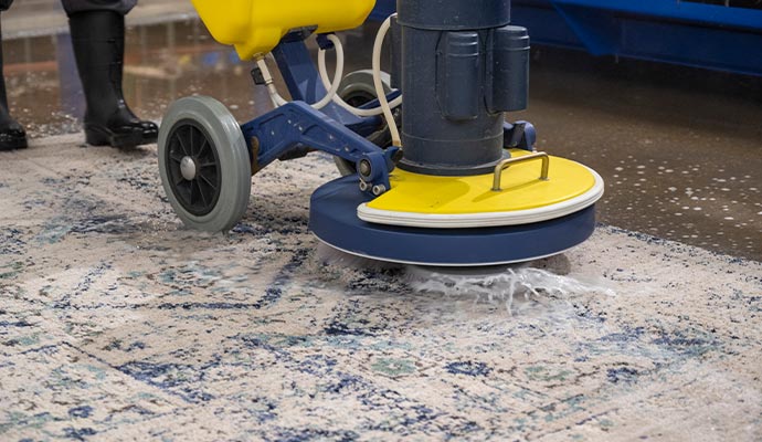 Area Rug Care Tips: How to Make Your Rugs Last