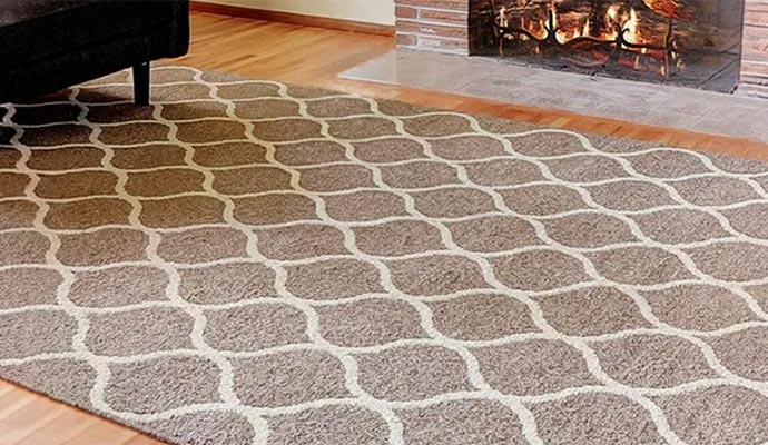 Area rug in living room