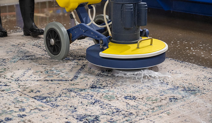 professionally rug cleaning and restoration