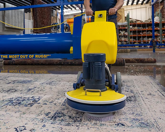 Person cleaning rug with equipment