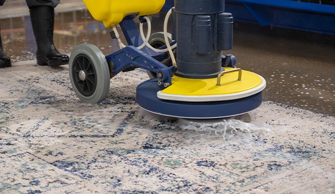 Deep clean rug with rotary brush