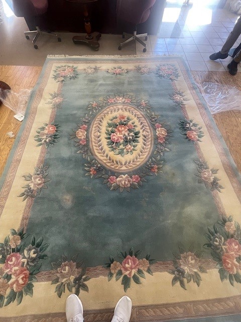 9'x12' living room rug