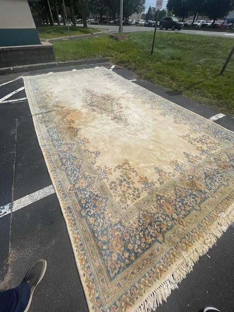 10'x14' living room rug