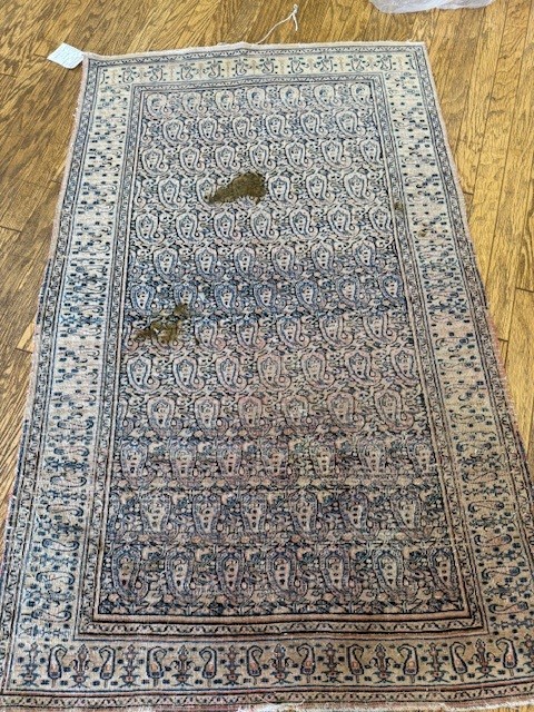 Saugerties Rug Cleaning Customer