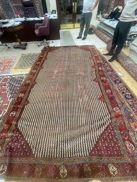 7'x14' living room rug