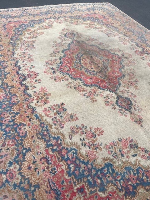 Haines Falls Rug Cleaning Customer