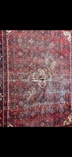 6'x9' rug for living room