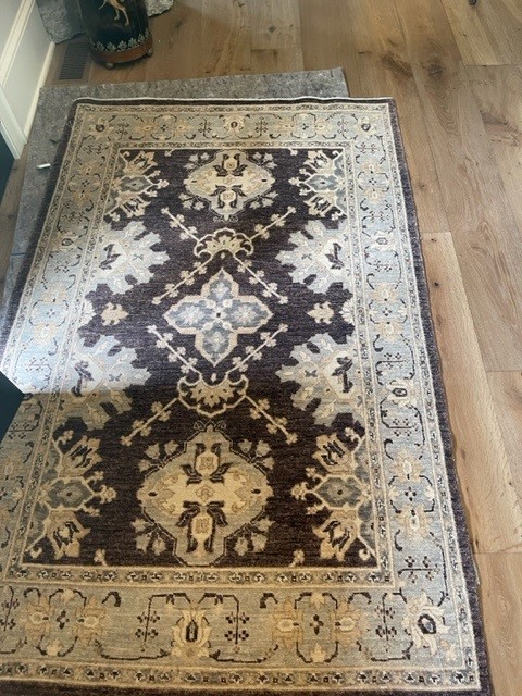 4'x6' rug for room