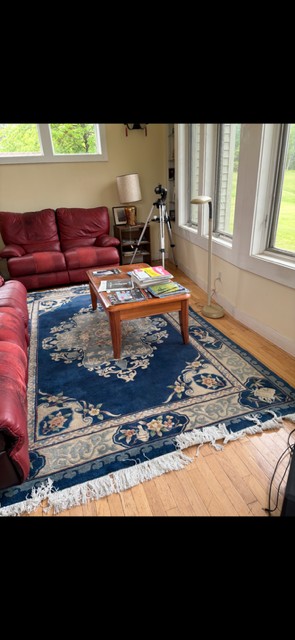 6'x9' living room rug