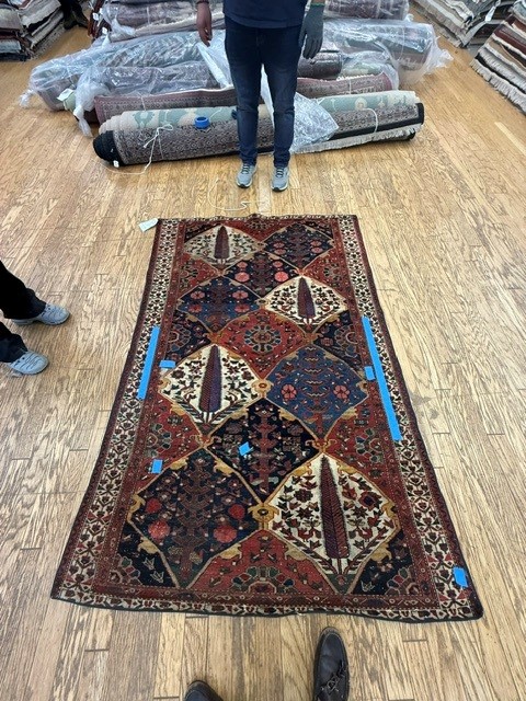 3'x9' living room rug