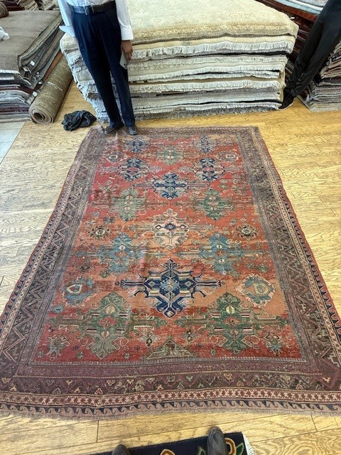 Turkish Sumac Rug Customer