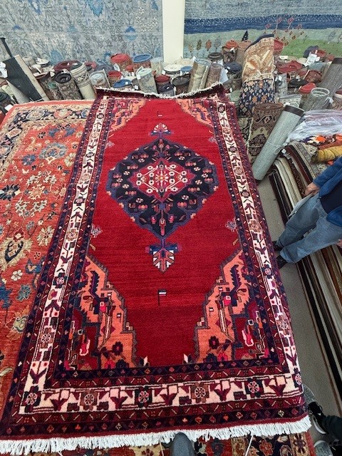 West Sand Lake Rug Cleaning and Repair