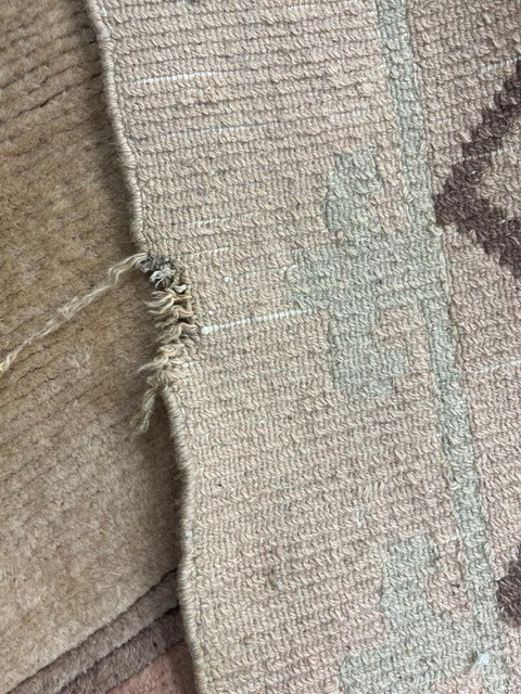 6'x9' rug for living room