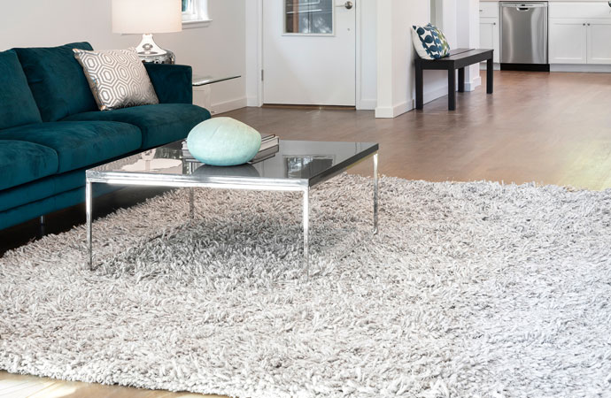 Living room interior with hardwood floors and a fluffy rug, creating a cozy atmosphere.