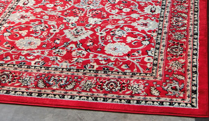 modern rug clean service