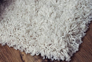 Nylon rug maintain