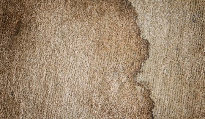 Close-up view of an old set-in stain embedded in carpet fibers