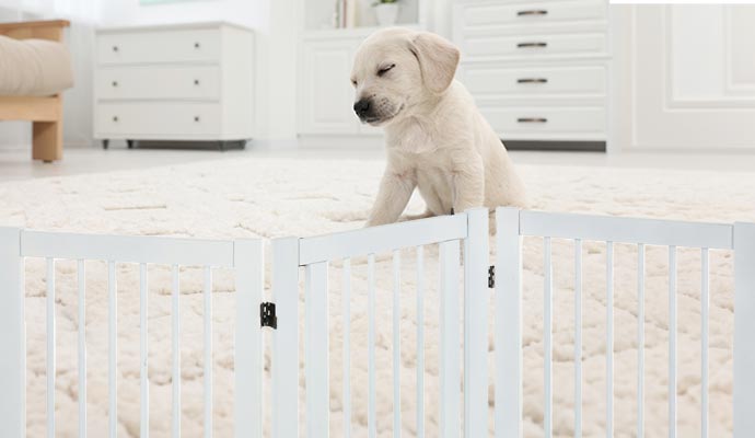 A pet barrier in place, separating the area and ensuring pet safety within a home
