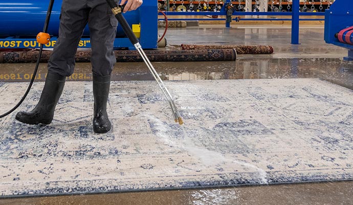 Professional rug cleaning service