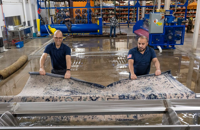 Professional rug cleaning method