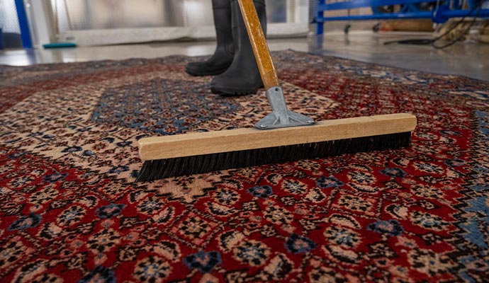 Person cleaning rug with equipment