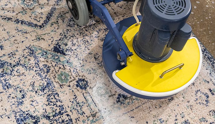 Professional rug cleaning service using advanced equipment
