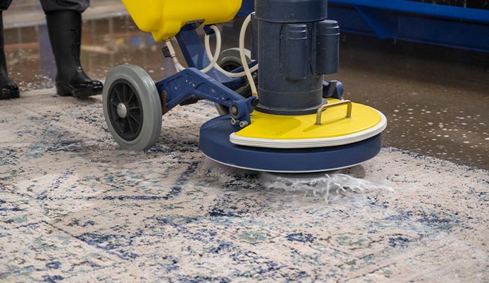 Professional worker cleaning rug