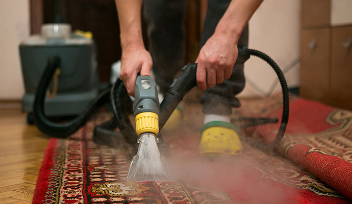 Professional steam cleaning service