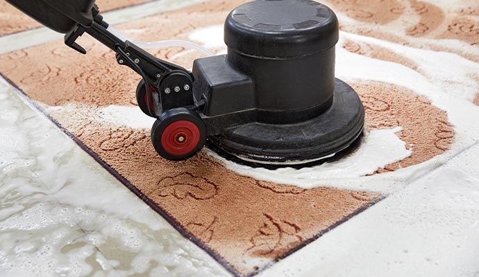 Best indoor rug cleaning service