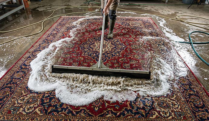 Rug cleaning on the floor