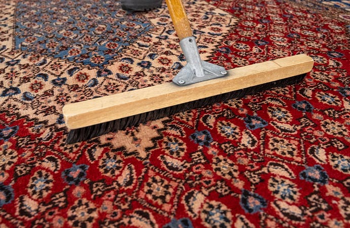 professionally rug cleaning with brush