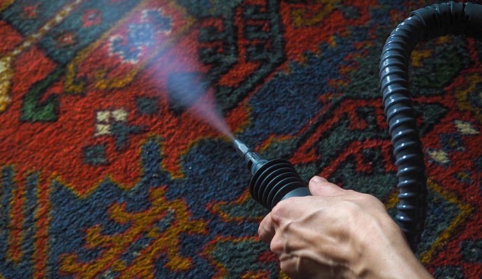 Revitalizing rugs with hot water extraction for a thorough clean