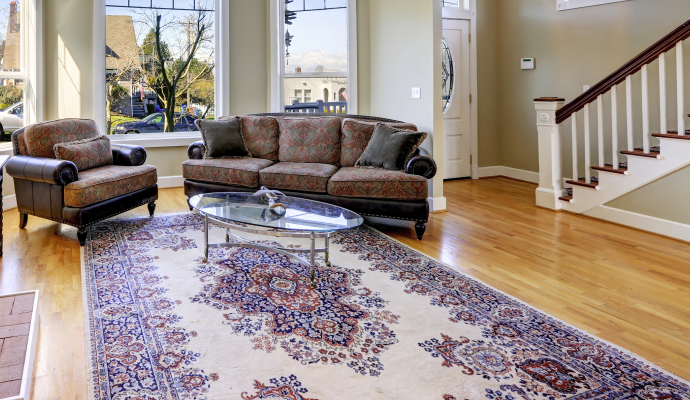Porfessional rug treatment or rug protection service