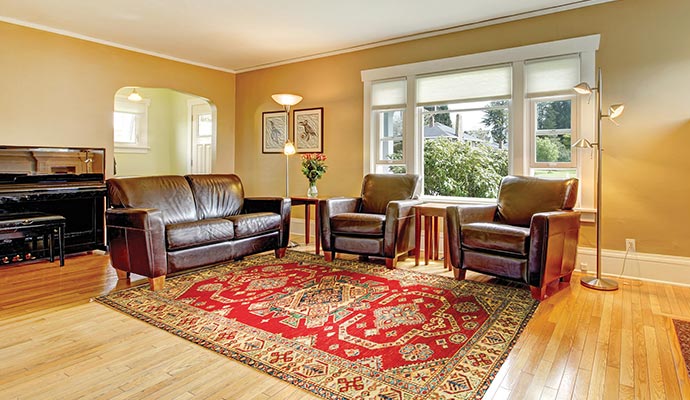 Expert Rug Tip Shearing in Albany