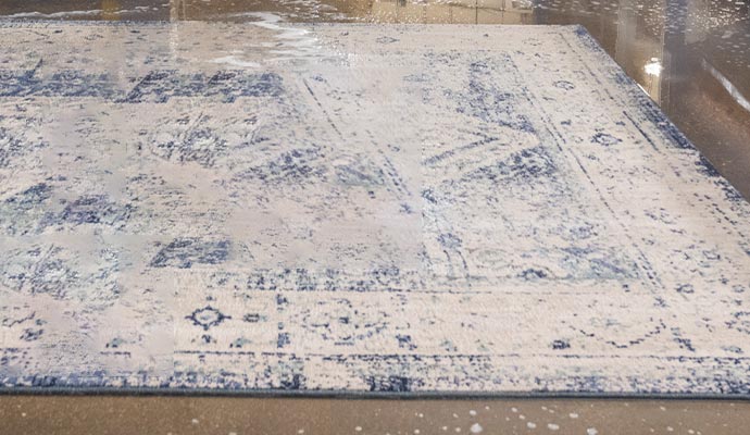 water damaged rug on floor