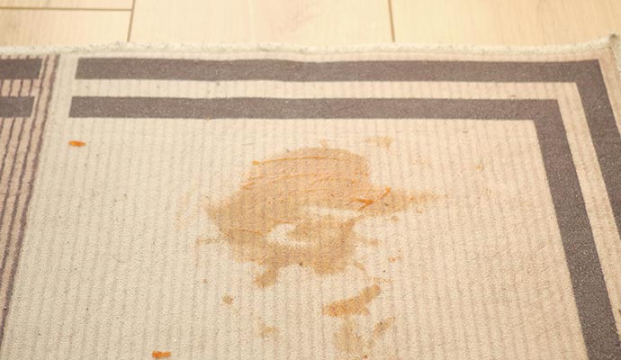 Stain on carpet