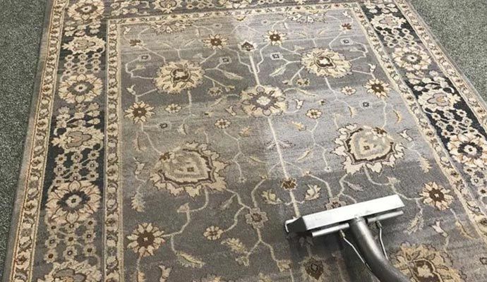 Rug cleaning using steam cleaner