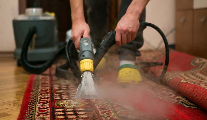Professional steam cleaning equipment being used on a red patterned area rug
