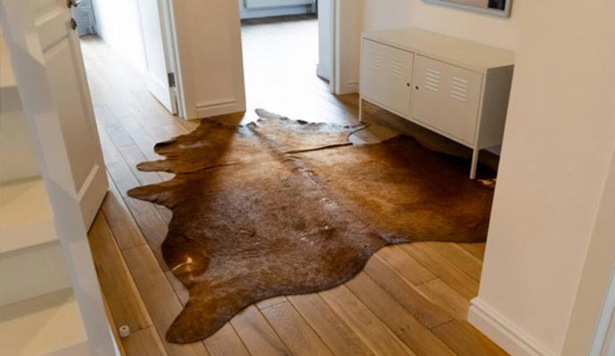 cowhide Rugs Cleaning Service in Albany, NY