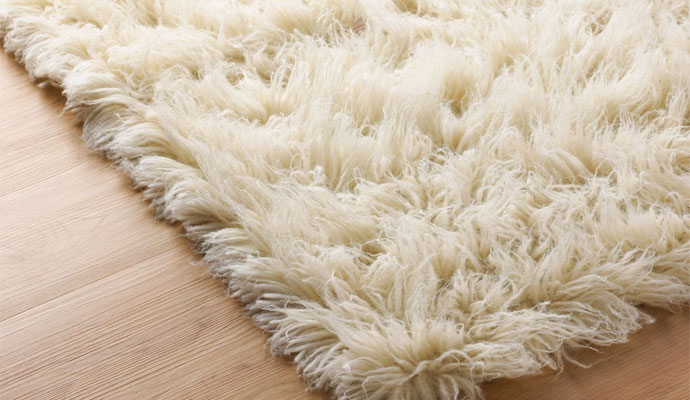 Shag Rug Cleaning & Repair in Albany & Upstate, New York